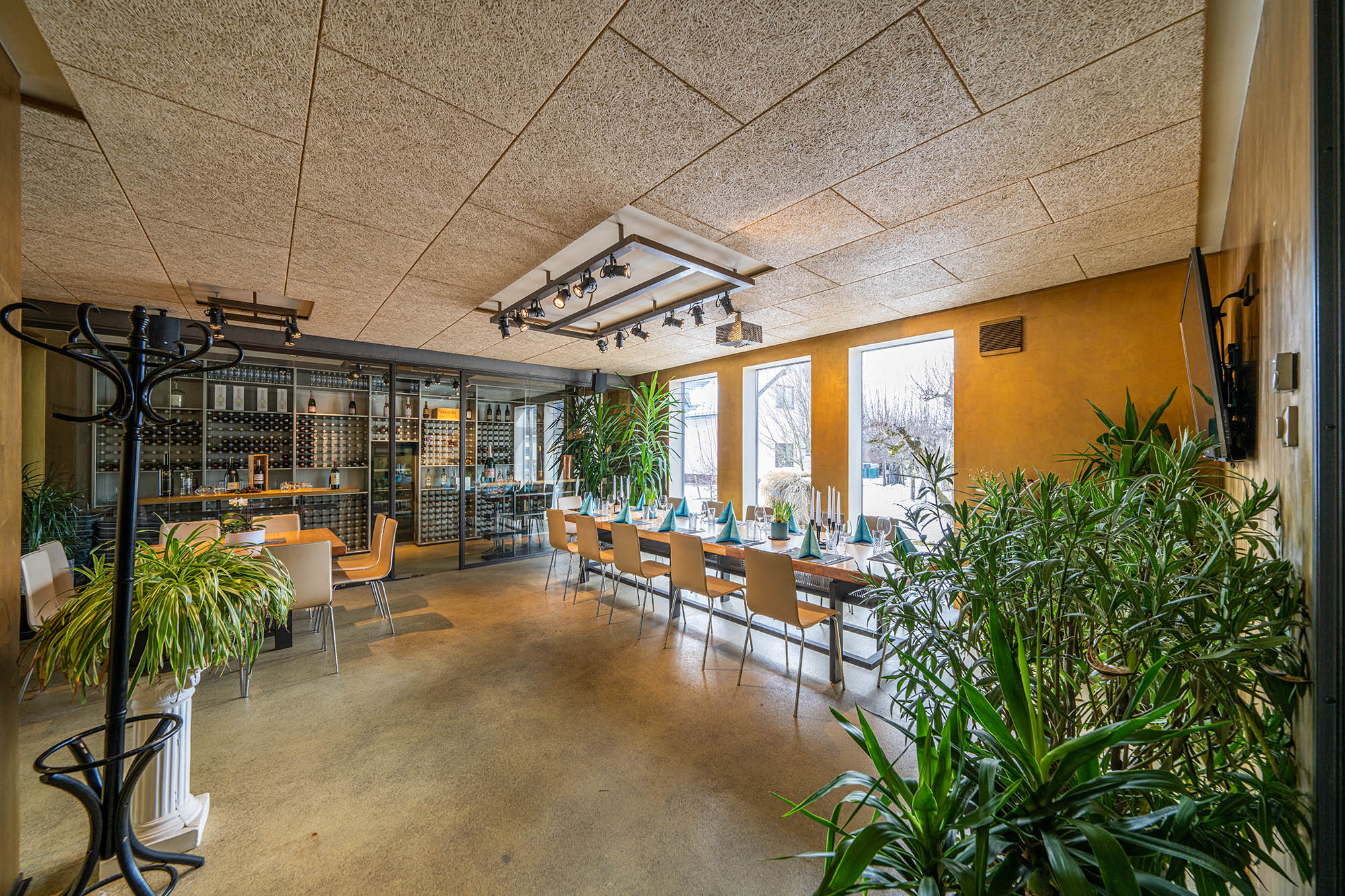 placeholder image-sq